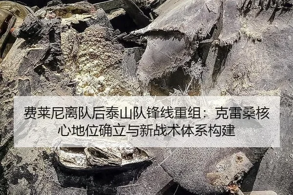 fei-lai-ni-li-dui-hou-tai-shan-dui-feng-xian-chong-zu-ke-lei-sang-he-xin-di-wei-que-li-yu-xin-zhan-shu-ti-xi-gou-jian-3-376.jpg