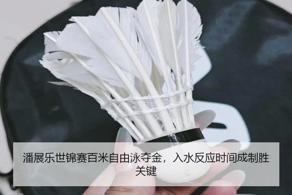 潘展乐世锦赛百米自由泳夺金，入水反应时间成制胜关键