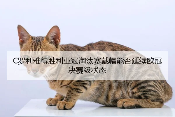 C罗利雅得胜利亚冠淘汰赛戴帽能否延续欧冠决赛级状态